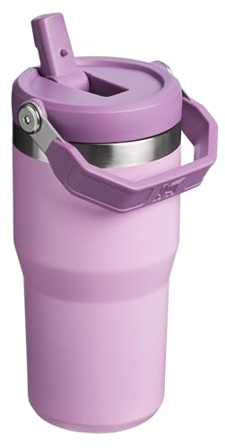 Stanley IceFlow Flip Straw Tumbler with Handle 20 oz | Twist On Lid and Flip Up Straw | Leak Resistant Water Bottle | Insulated Stainless Steel |BPA-Free | Lilac