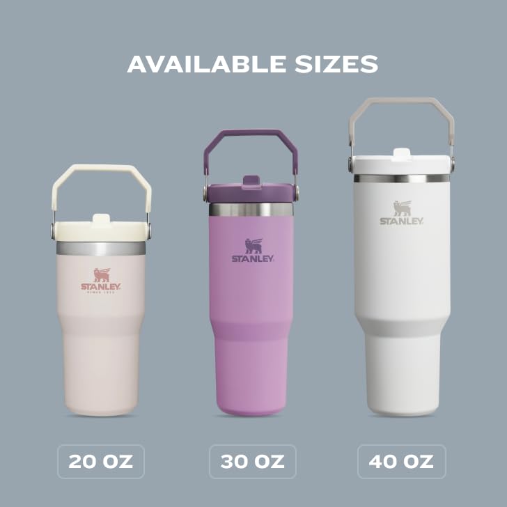 Stanley IceFlow Flip Straw Tumbler with Handle 20 oz | Twist On Lid and Flip Up Straw | Leak Resistant Water Bottle | Insulated Stainless Steel |BPA-Free | Lilac